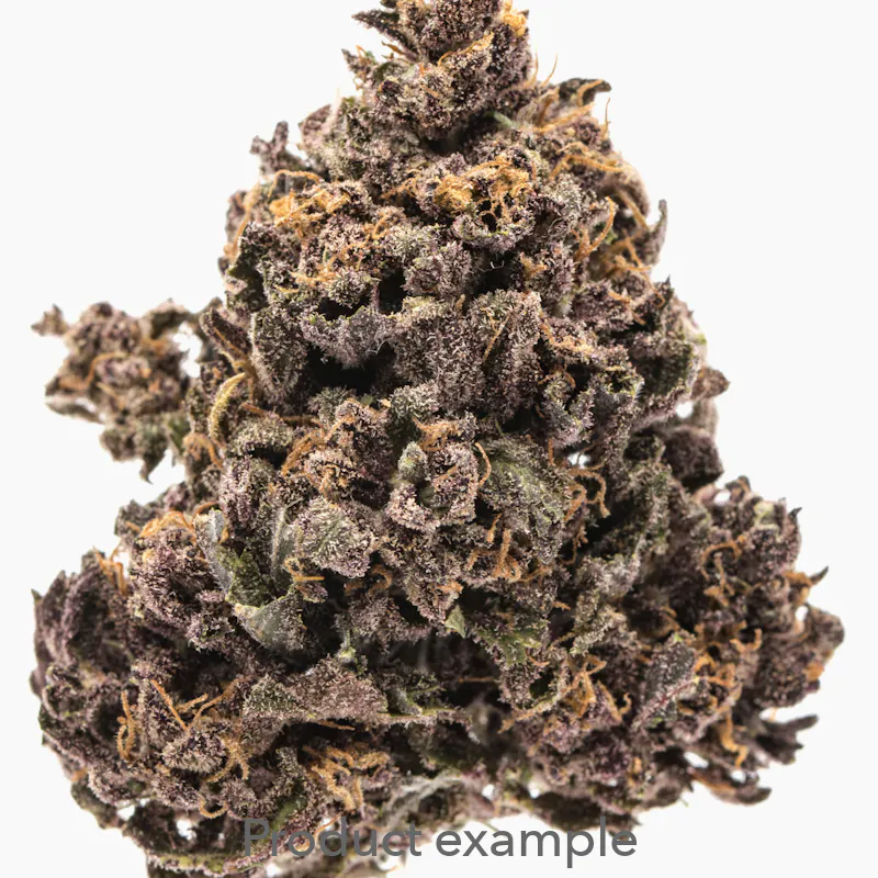 EXCLUSIVE:MOUNTAIN DEW