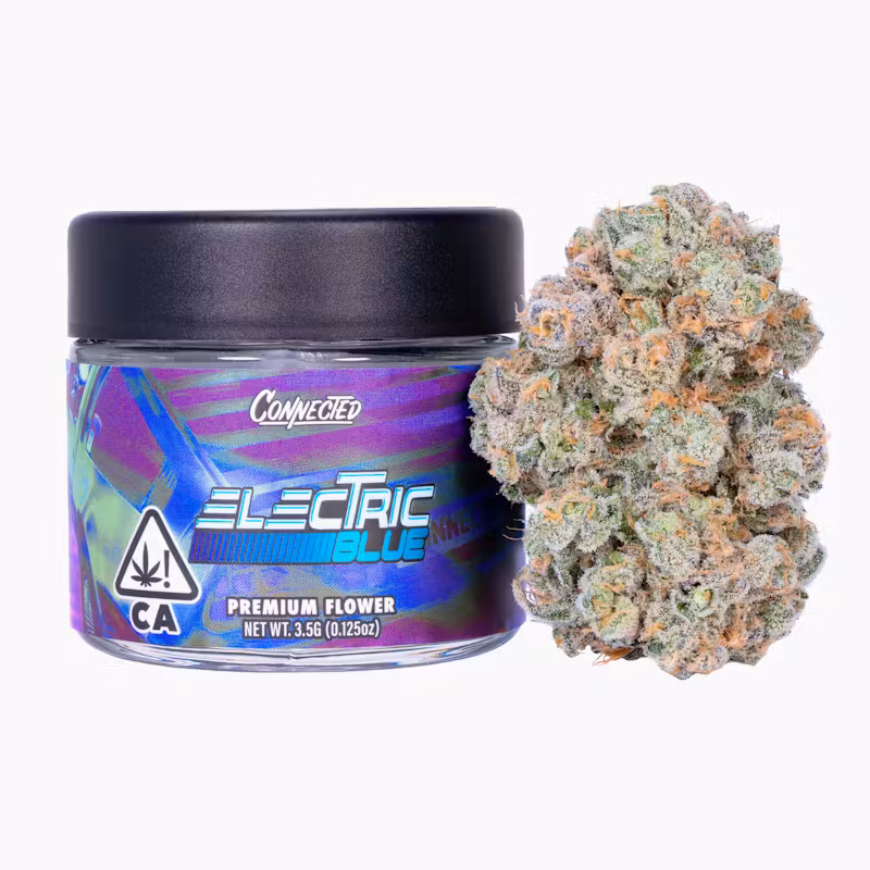 Electric Blue - Indoor