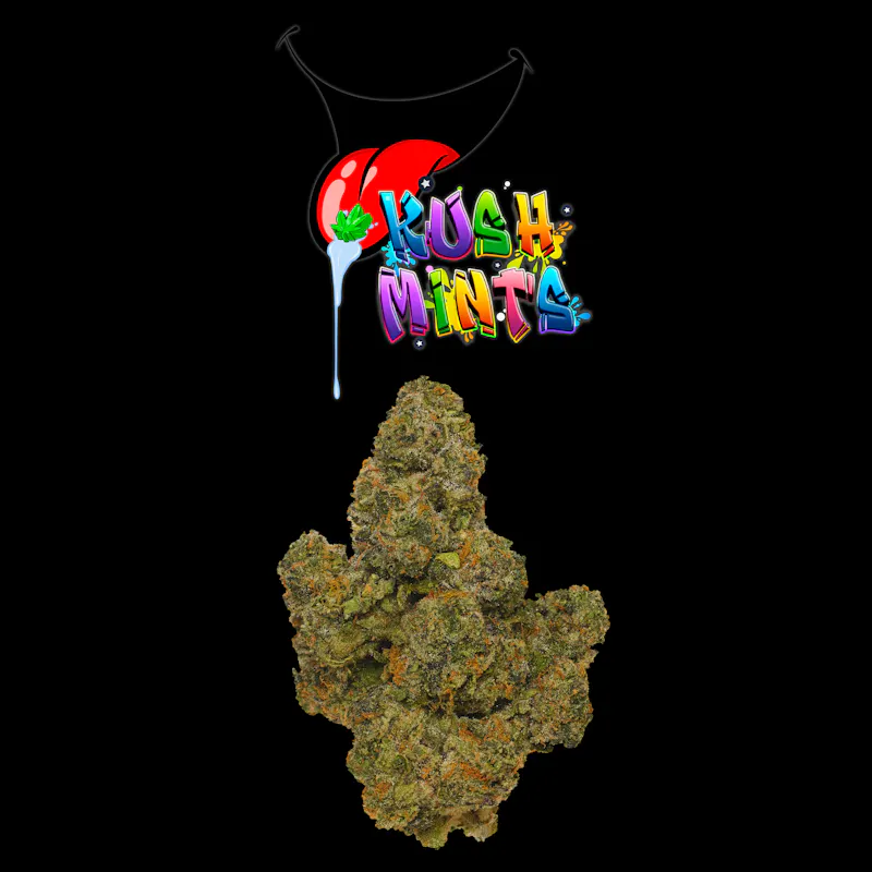 HOTBOX | Kush Mints Indica (3.5g or 1/8th) Indoor Flower